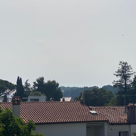 Kate Apartment Rovinj Zewnętrze zdjęcie